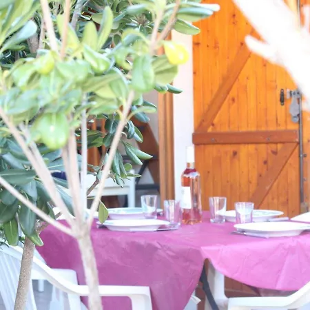 Maison Avec Mezzanine Et Terrasse - - Fr-1-229-841 Holiday home